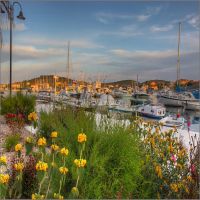 IMG_7934_5_6
