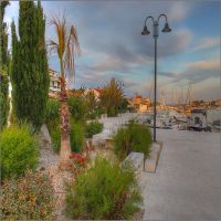IMG_7940_1_2