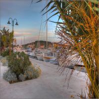 IMG_7970_1_2