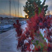 IMG_7973_4_5
