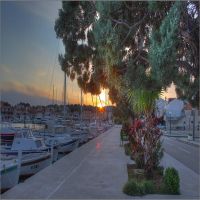 IMG_7976_7_8