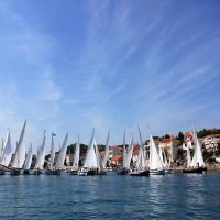 Regata_49